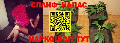 соль ск Гай